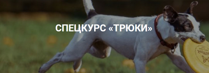Okidog academy - Трюки (2019)_0.png